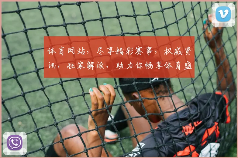 体育网站，尽享精彩赛事，权威资讯，独家解读，助力你畅享体育盛宴，体验激情