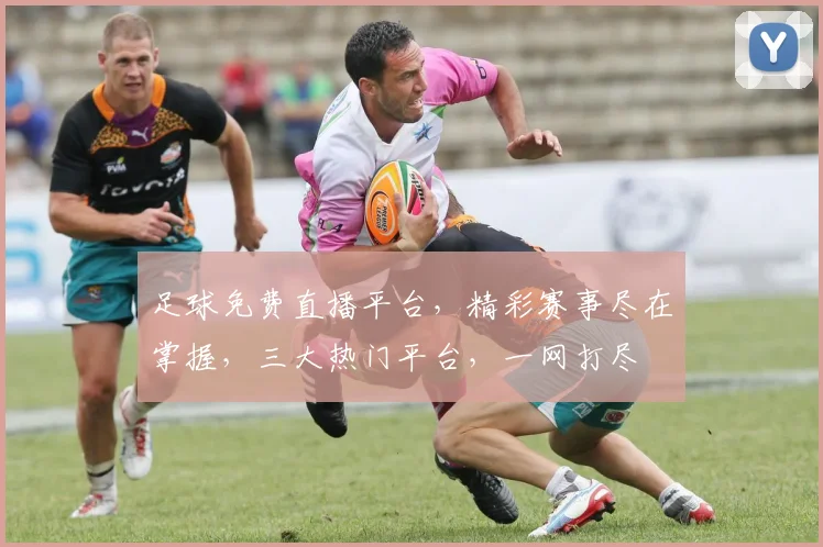 足球免费直播平台，精彩赛事尽在掌握，三大热门平台，一网打尽